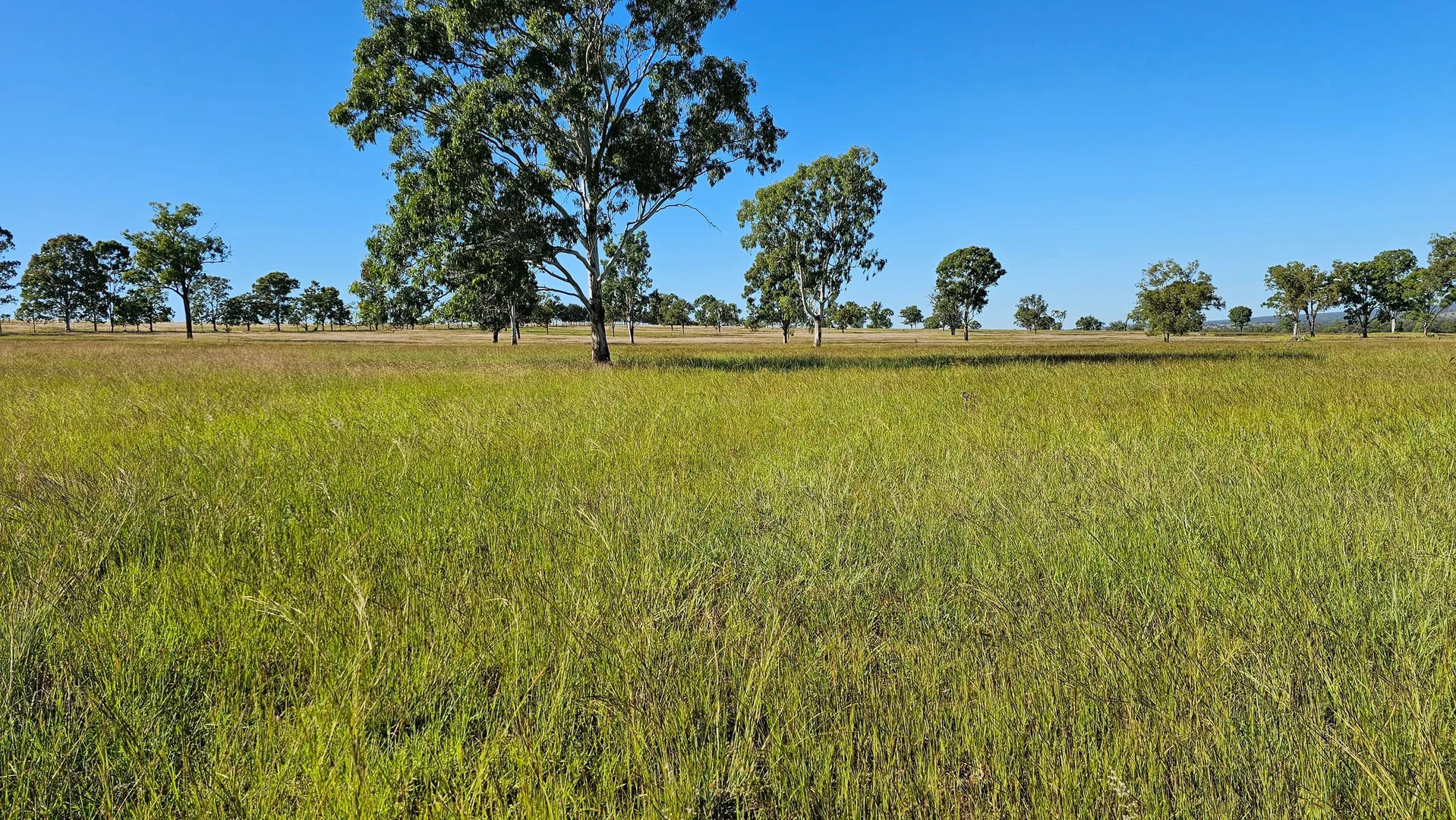 Image 18