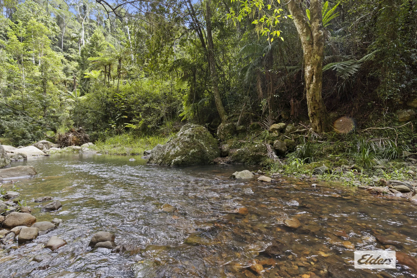 Additional image 8 of 374 Couchy Creek Road, Numinbah NSW 2484