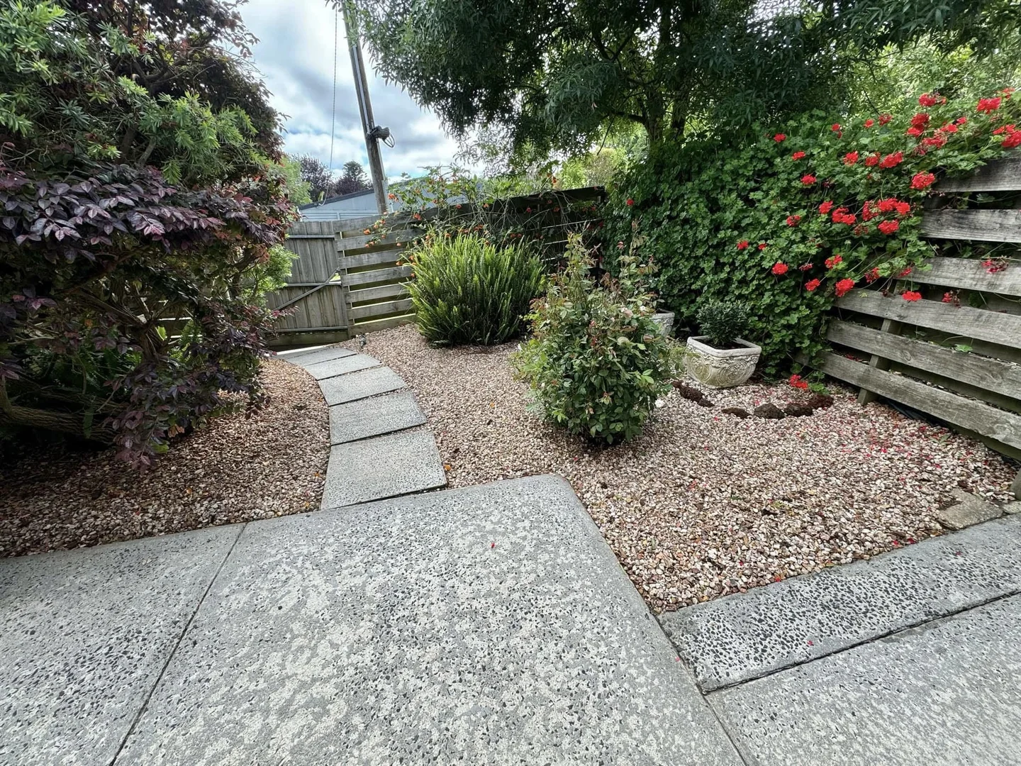 Image 23