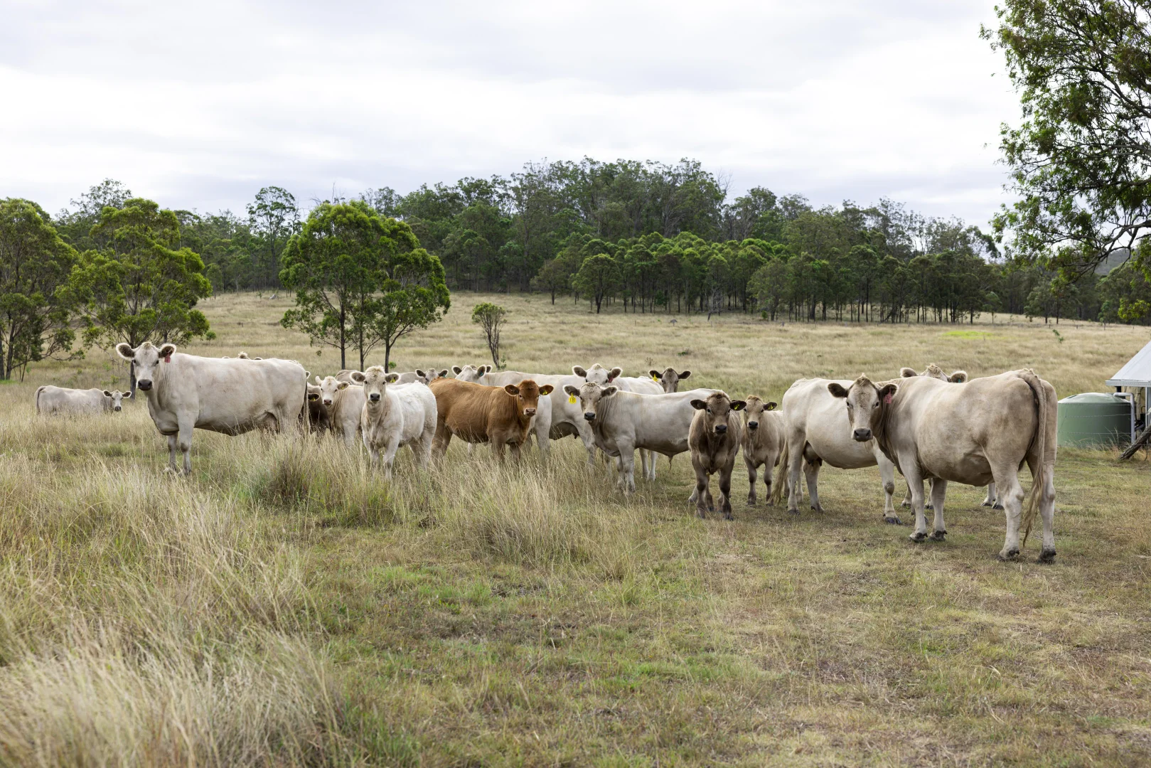 Additional image 12 of 2492 New England Highway, Cooyar QLD 4402