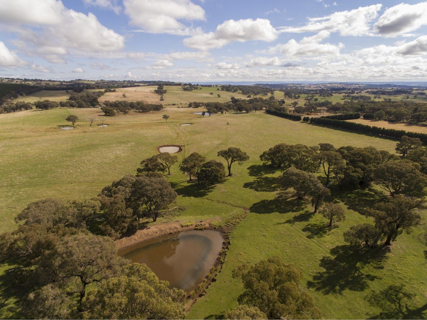 1244 Cargo Road, Orange NSW 2800, Image 0