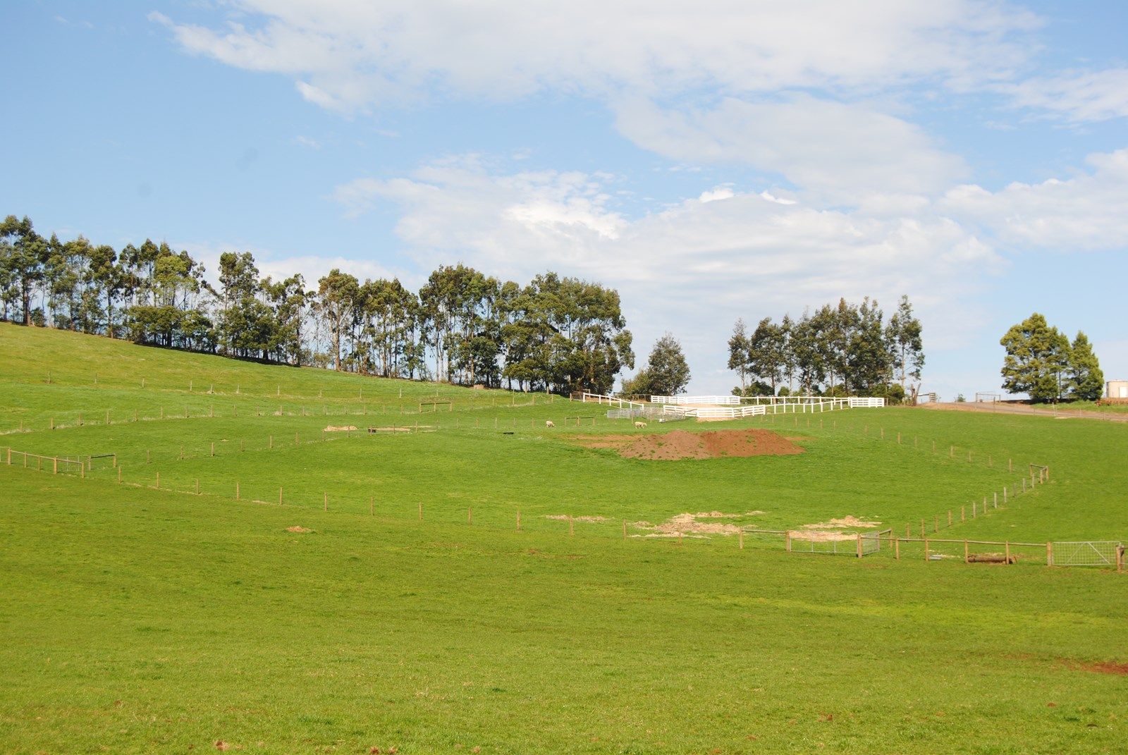 Lot 1, 2365 GRAND RIDGE ROAD, Hallston VIC 3953, Image 1