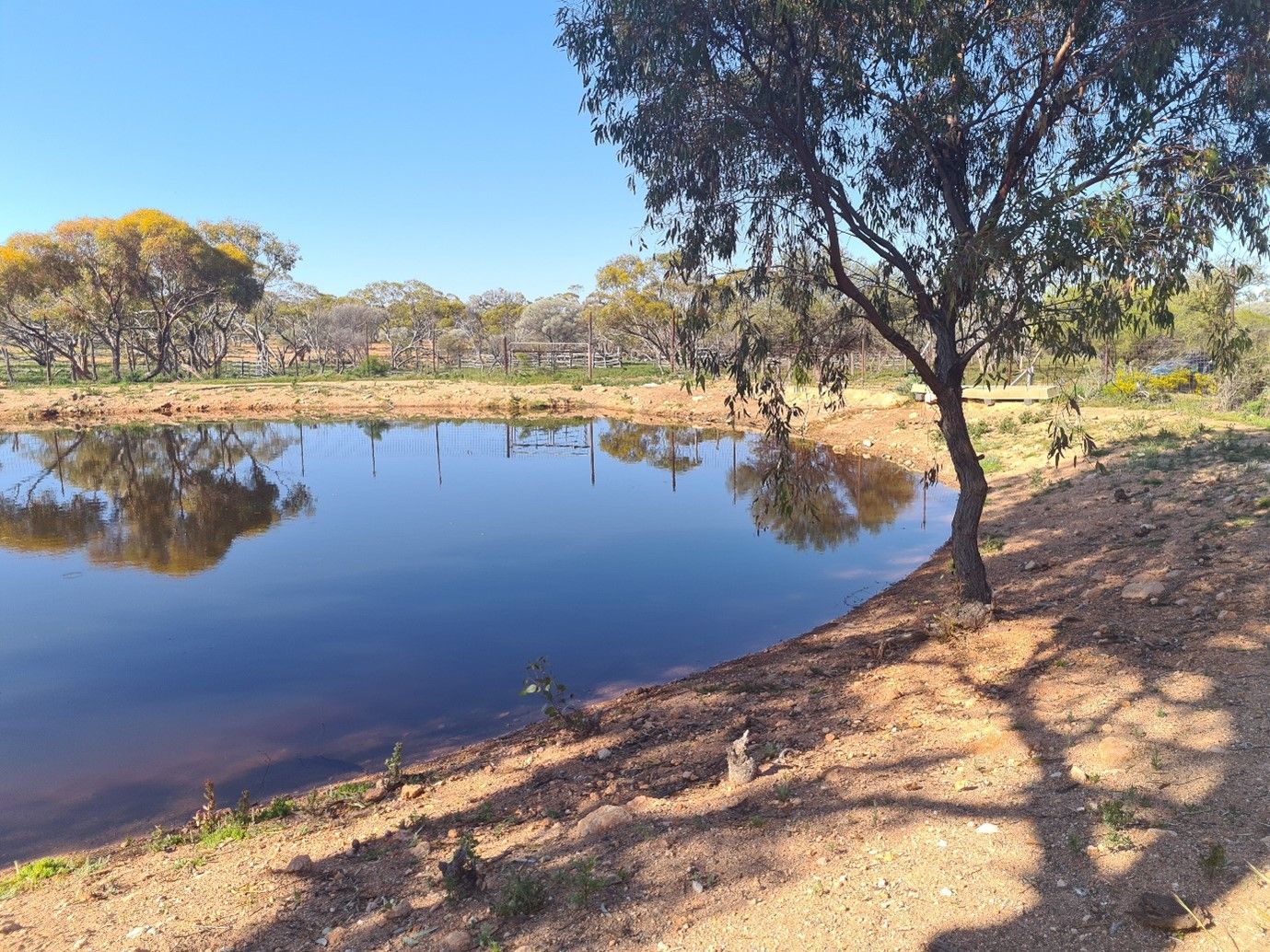 Lake Barlee Station, Sandstone WA 6639, Image 0