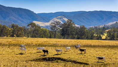 Picture of 2677 Scone Road, COBARK NSW 2422