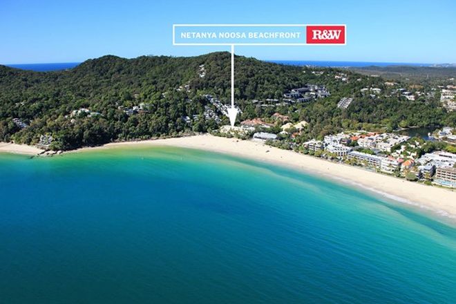Picture of 408/71 Hastings Street, NOOSA HEADS QLD 4567