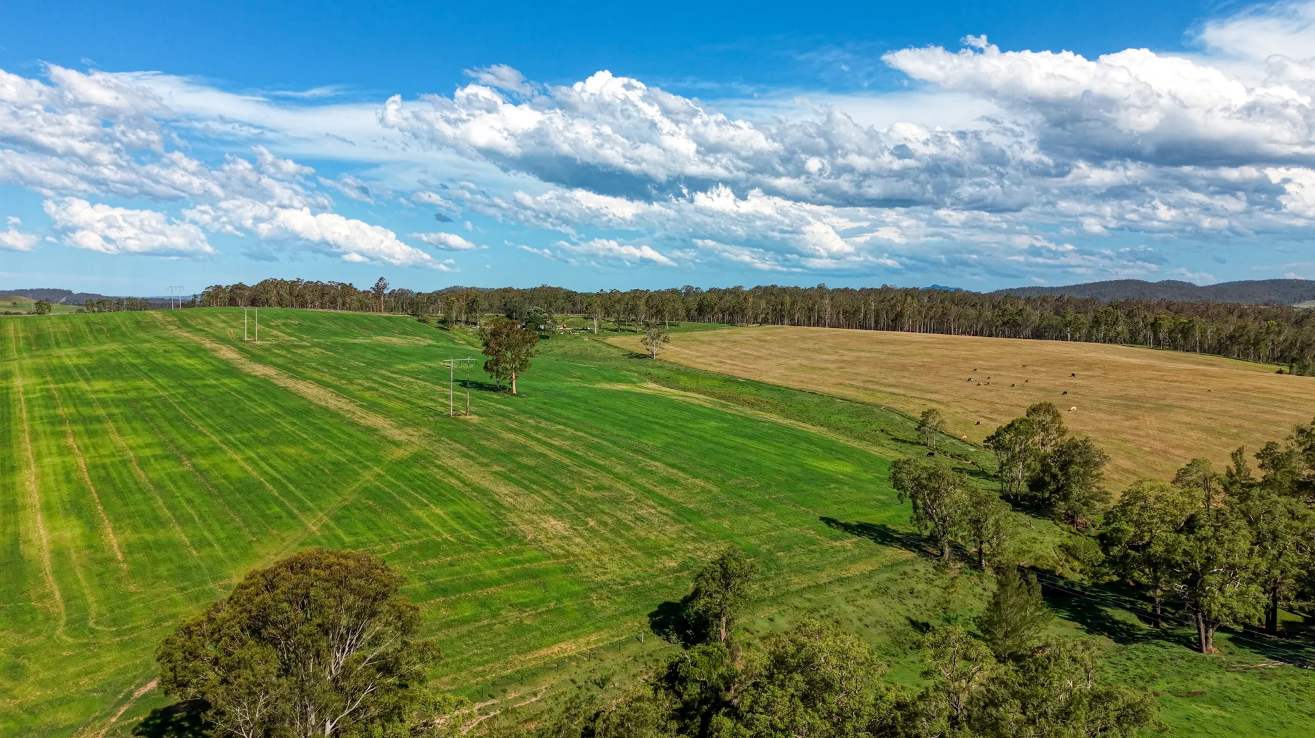 Additional image 15 of 119 Paddys Flat Road, Tabulam NSW 2469
