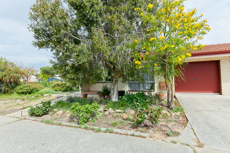 1/133 Edinboro st, Joondanna WA 6060