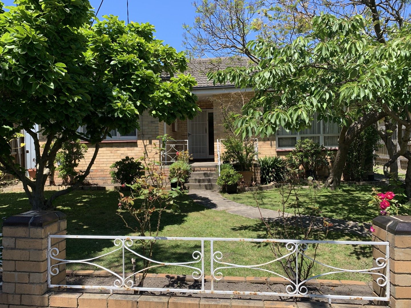 10 Dwyer Street, Blackburn VIC 3130 House For Rent Domain