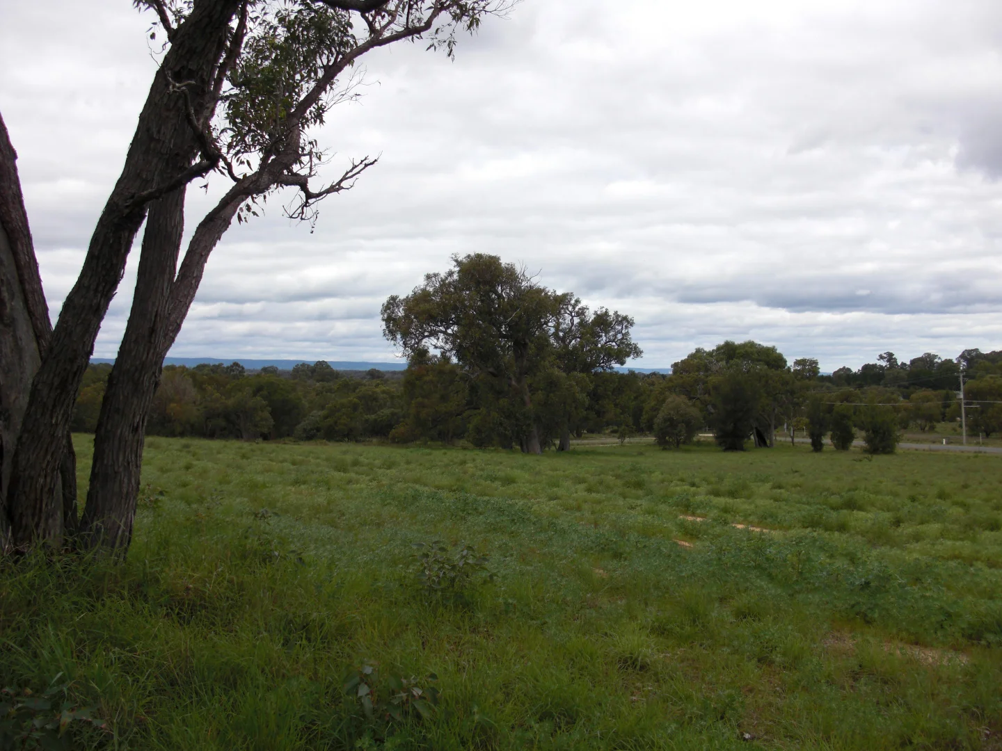 Image 11