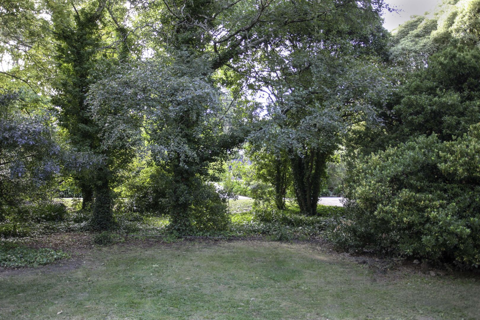 39 Lesley Crescent, Crafers SA 5152 House For Rent Domain