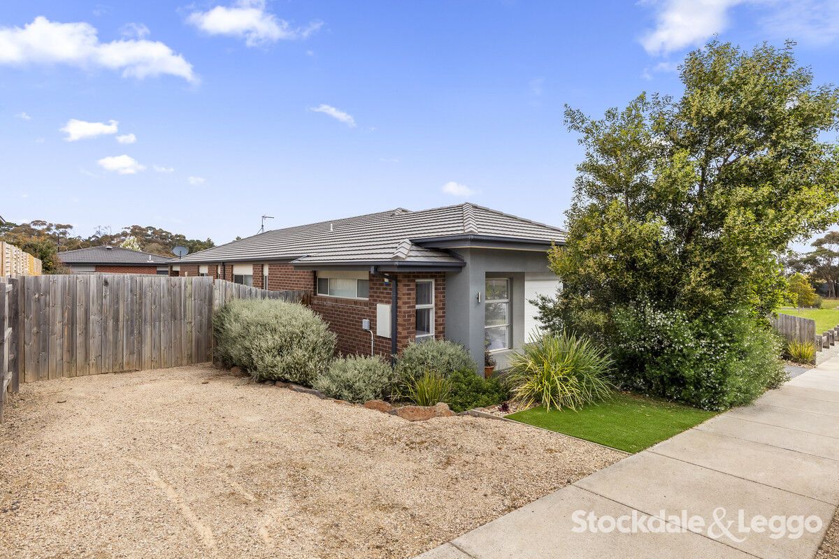 6 Elise Road, Clifton Springs VIC 3222 House For Rent Domain