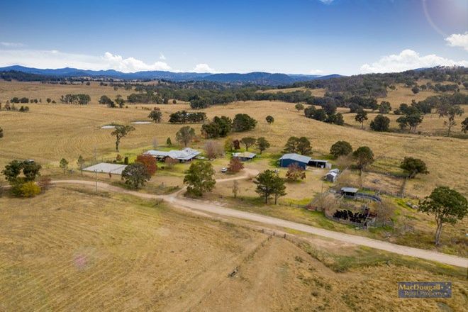 Picture of 1259 Bald Rock Road, TENTERFIELD NSW 2372