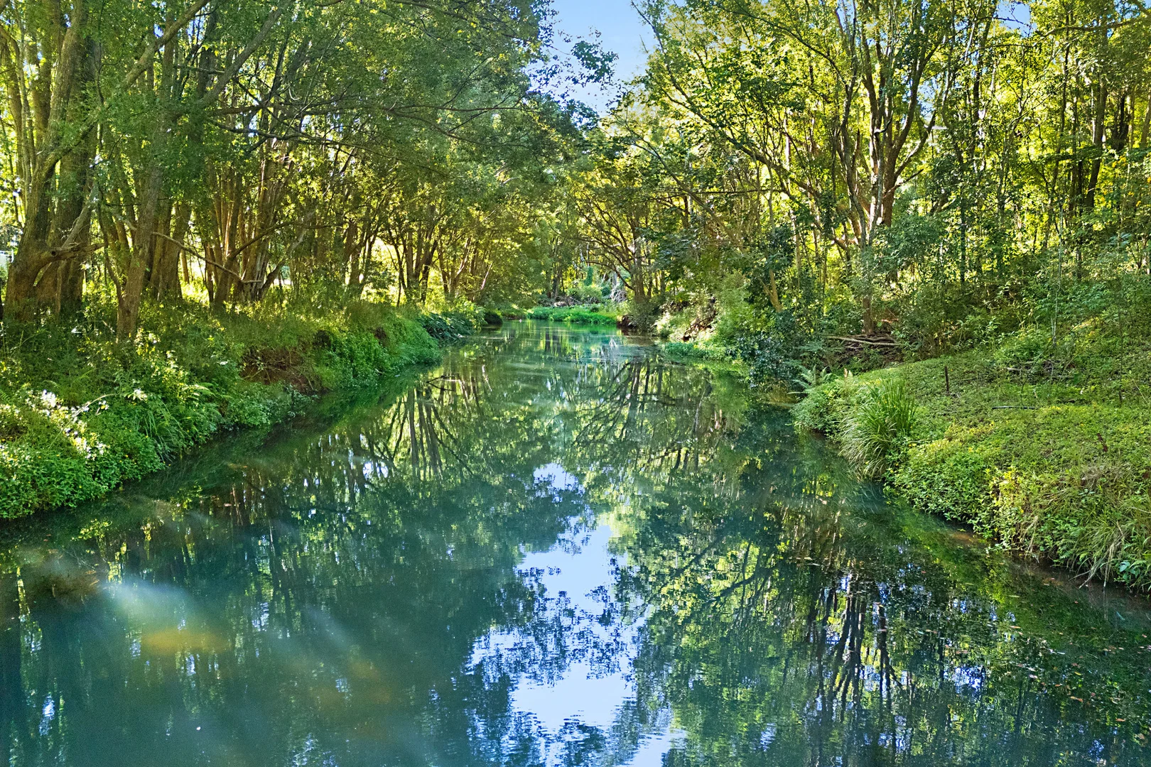 Additional image 31 of 241 Burringbar Road, Burringbar NSW 2483