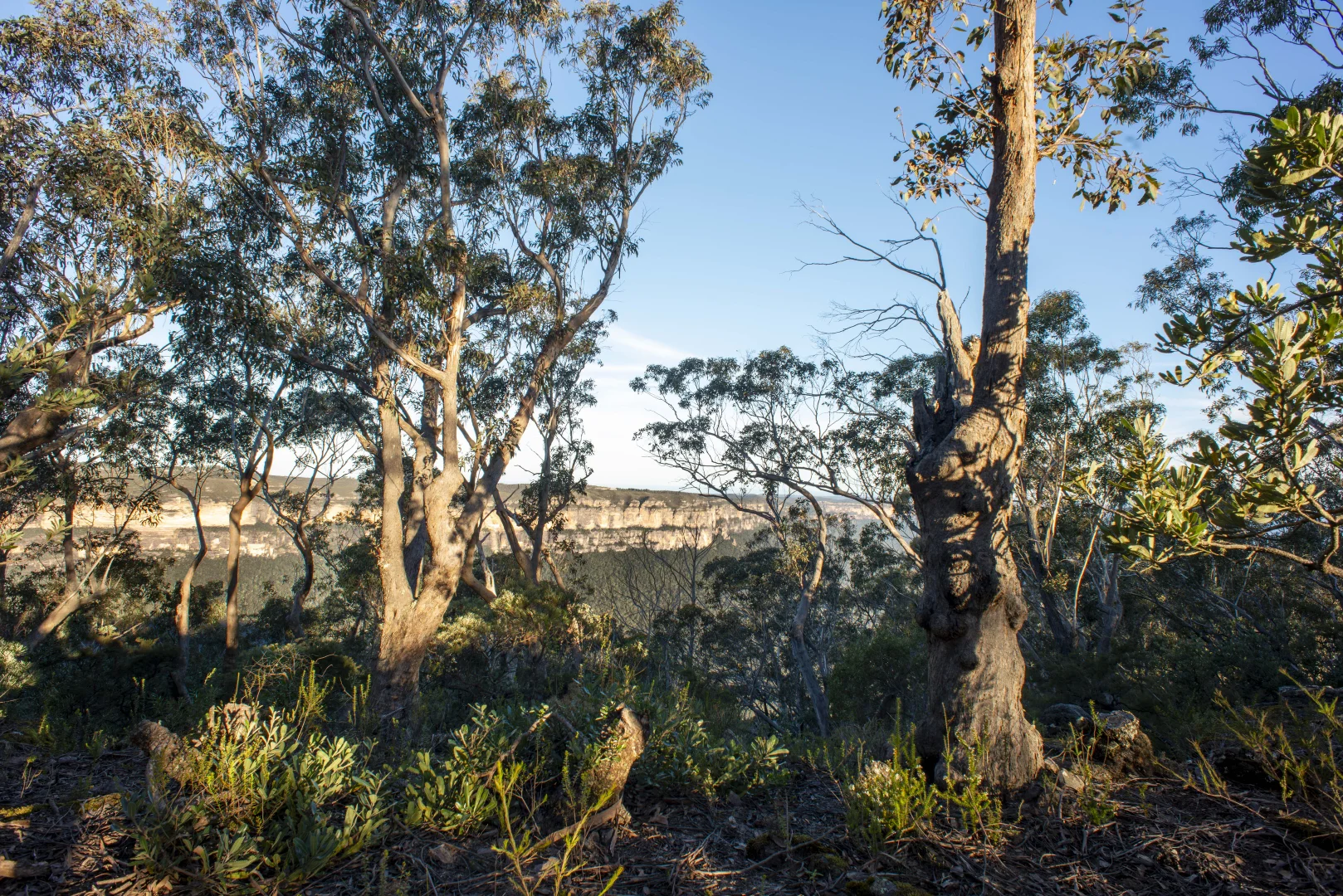 Additional image 7 of 114 Sublime Point Road, Leura NSW 2780