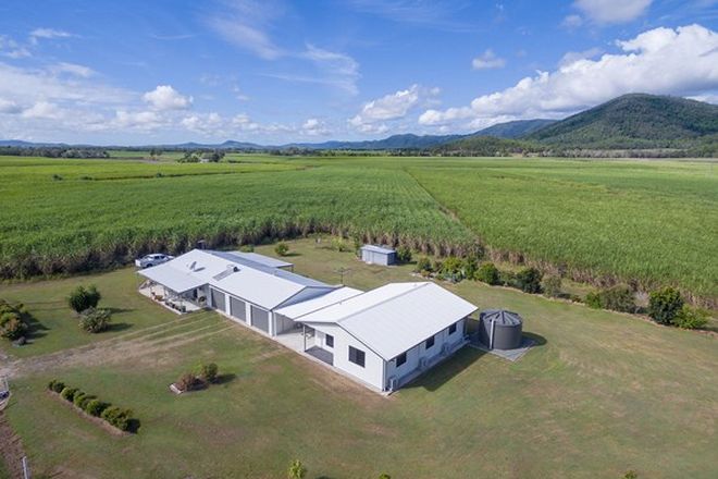 Picture of 38 Mezzens Road, SUNNYSIDE QLD 4737