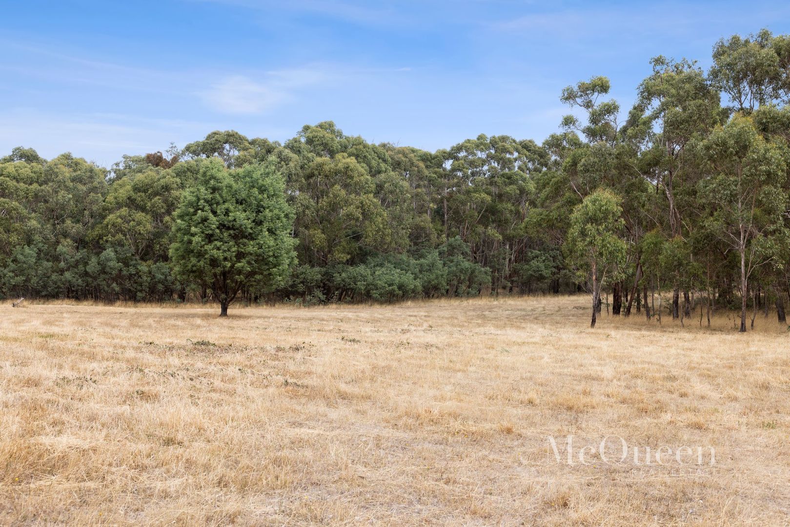 105 Sharpes Lane, Glenlyon VIC 3461, Image 2