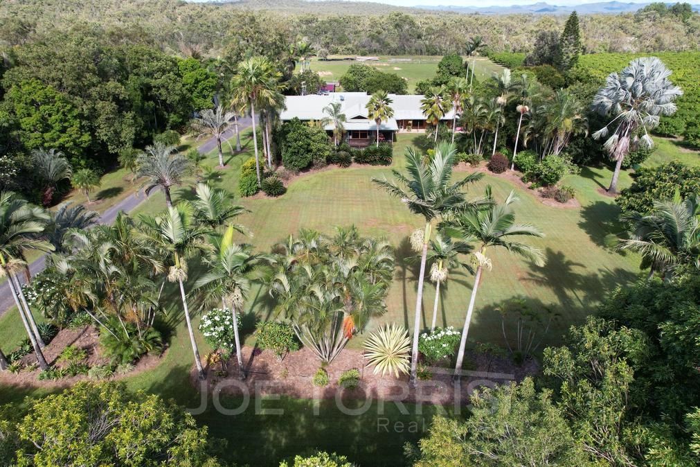 96 Craig Road, Mutchilba QLD 4872, Image 0