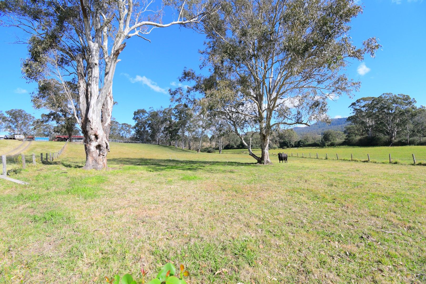 526 Beaury Creek Road, Urbenville NSW 2475, Image 0