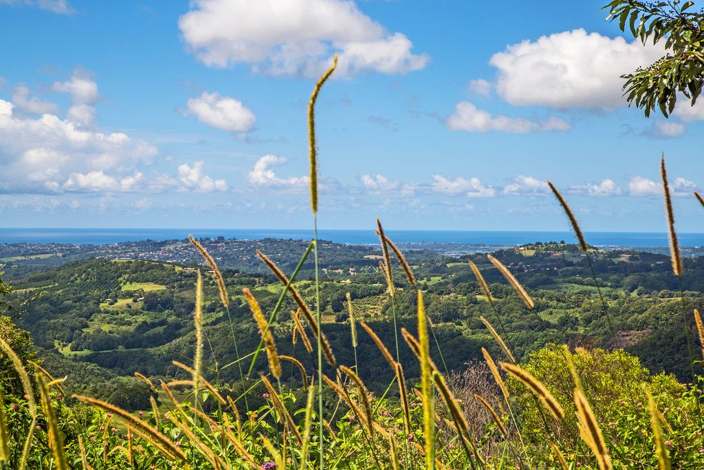 Property Report for 70 Cougal Road, Carool NSW 2486