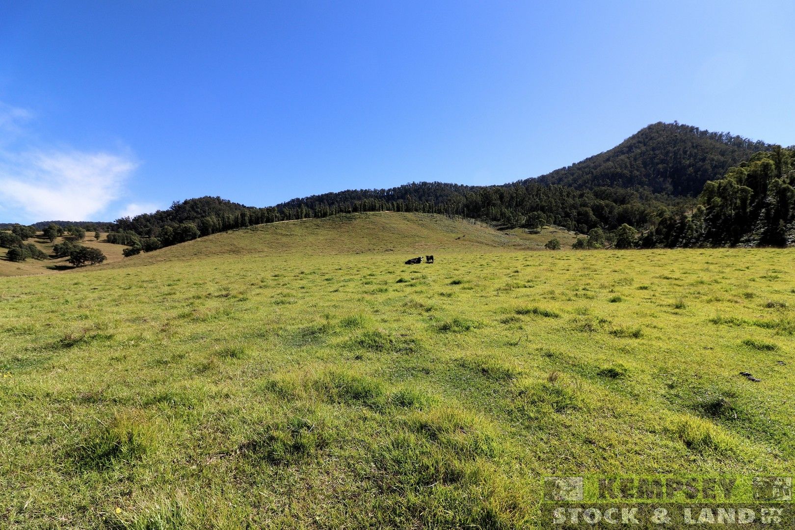 2 Lower Creek Rd, Lower Creek NSW 2440, Image 0