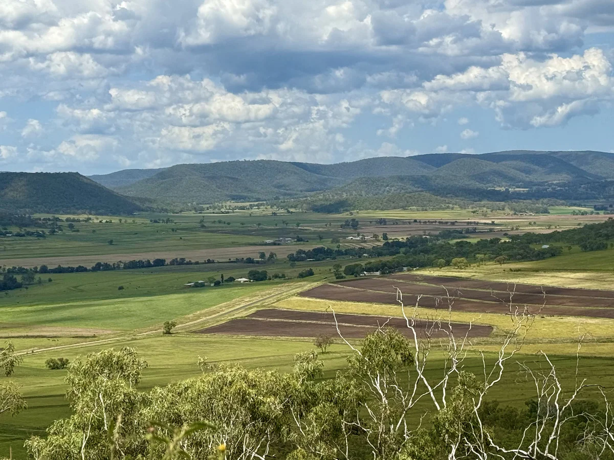 Image 6