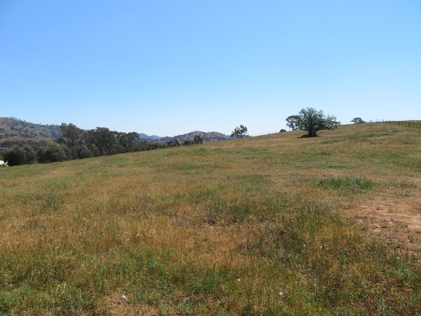 Lot 332 Neil McInerney Street, Gundagai NSW 2722, Image 1