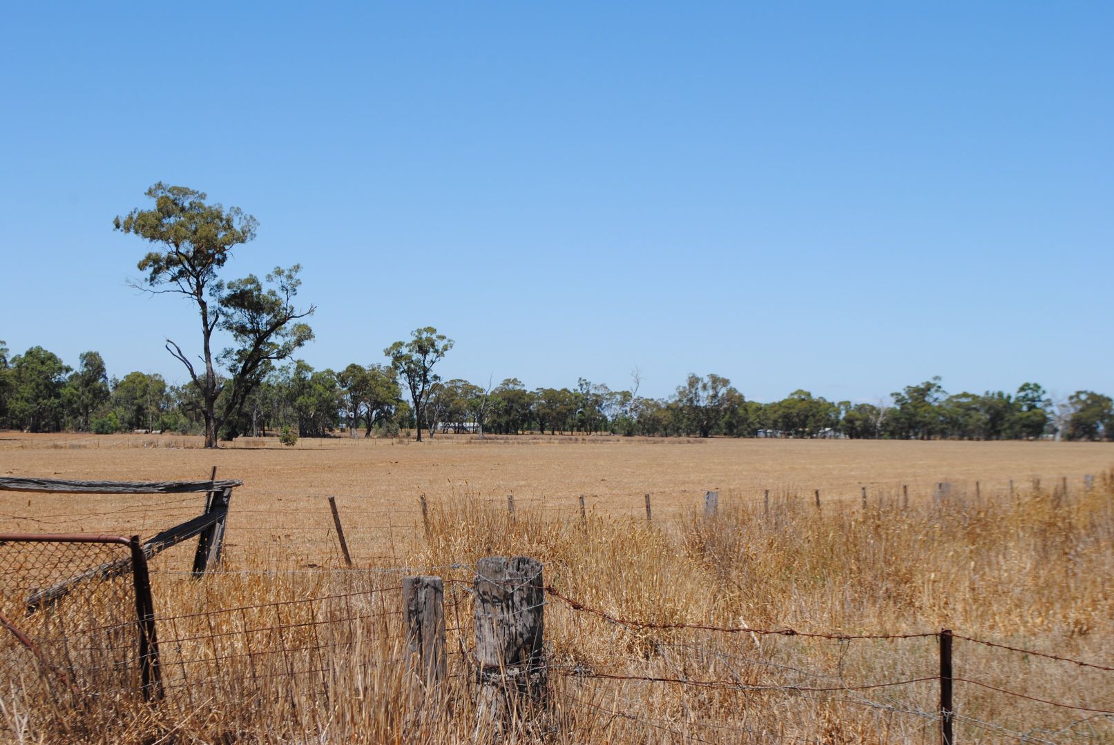 350 Murchison-Tatura Road, Murchison North VIC 3610, Image 1