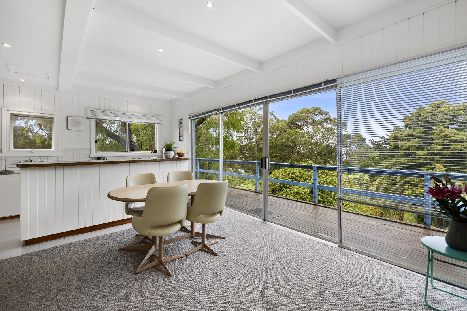 6 Belvedere Terrace, Lorne VIC 3232, Image 2