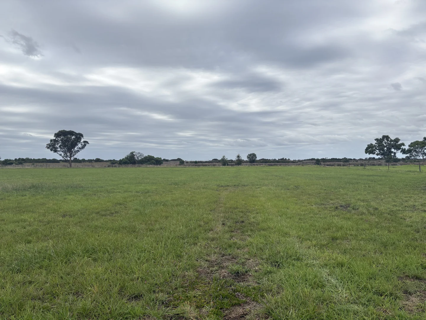 Image 14
