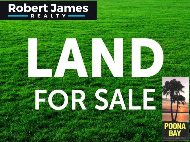 Vacant land in LOT 157 Livistonia Drive, POONA QLD, 4650