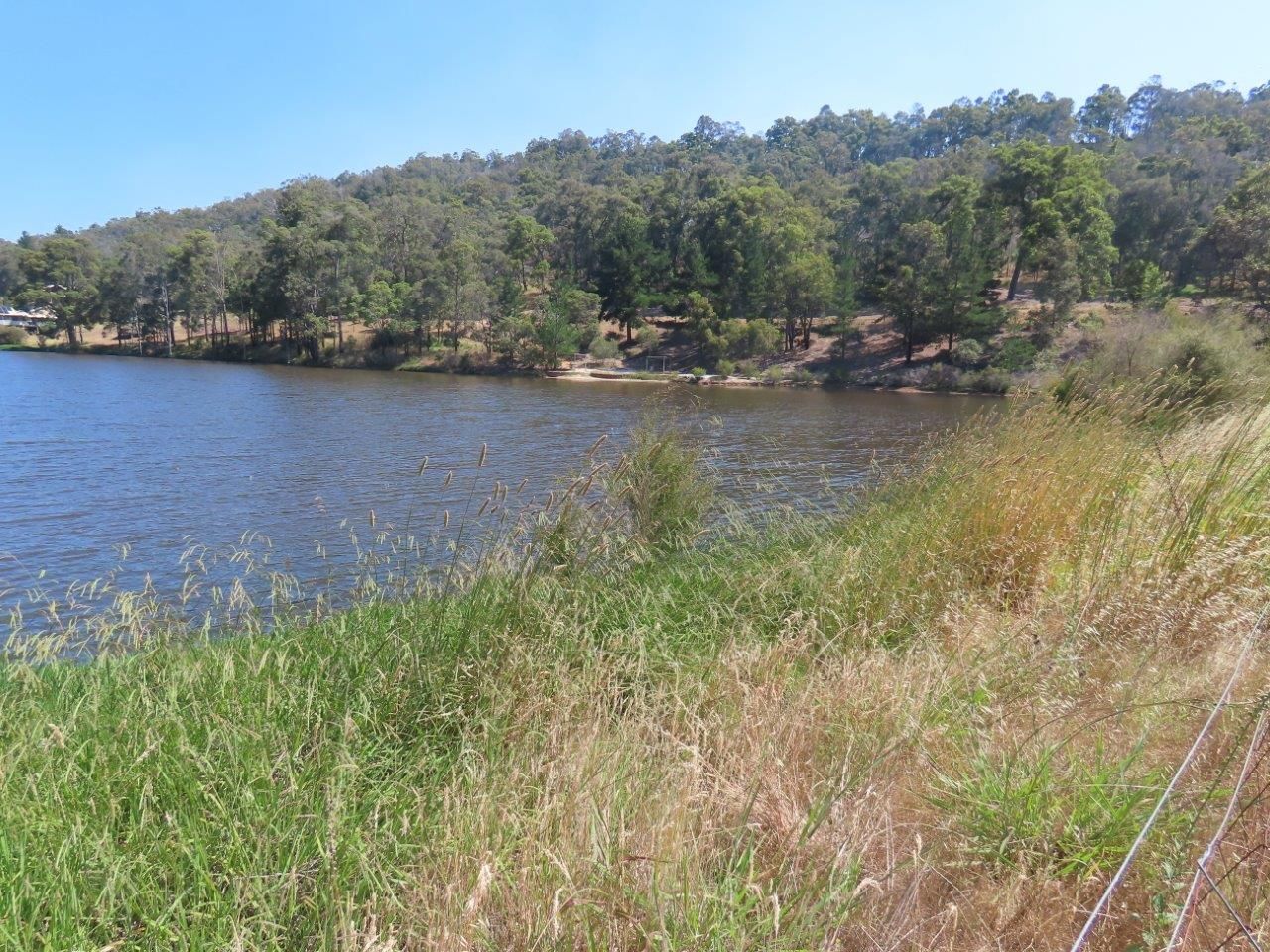 Rural in 378 East Nannup Road, EAST NANNUP WA, 6275