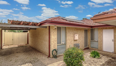 Picture of D/21 Gerard Street, EAST VICTORIA PARK WA 6101