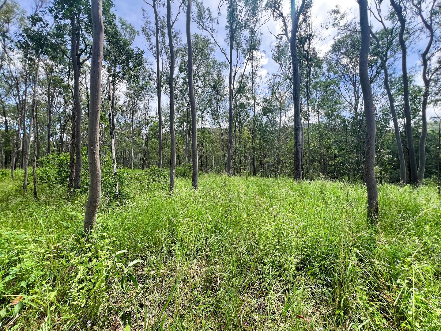 Lot 4 Gaeta Road, Gaeta QLD 4671, Image 2