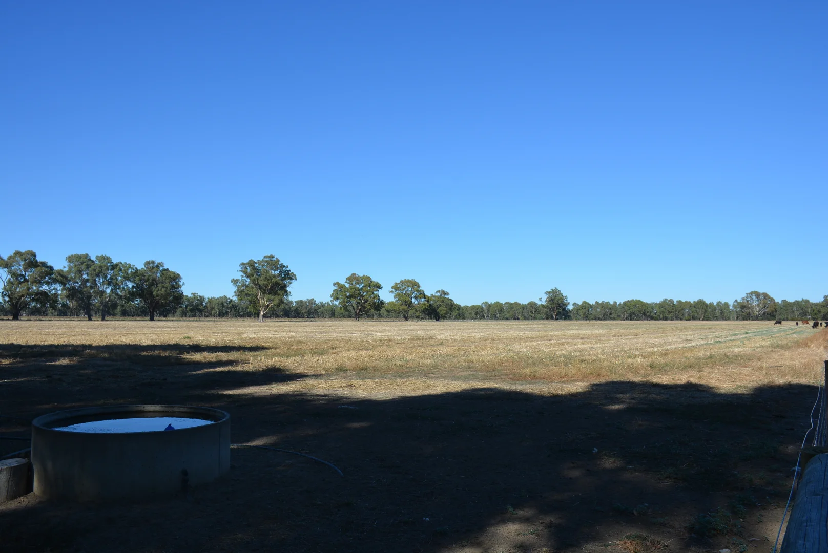 Image 23