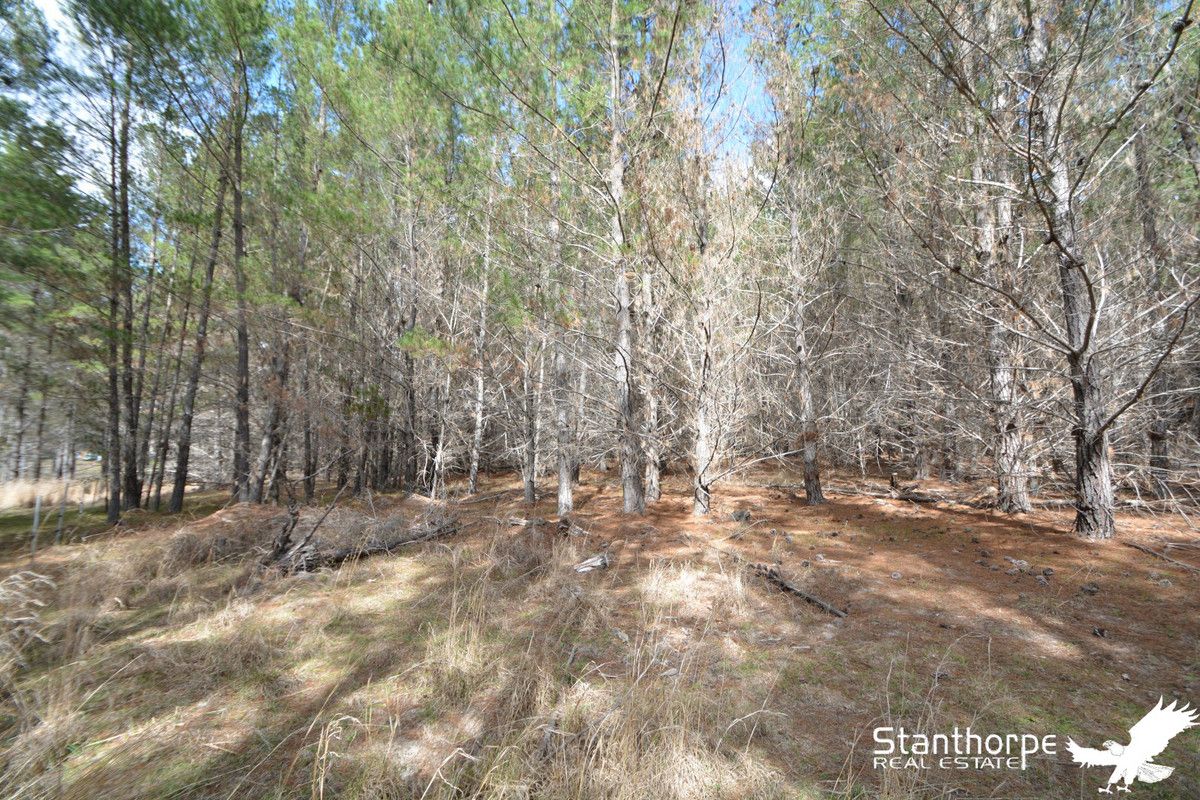 Lot 247 Radiata Close, Sugarloaf QLD 4380, Image 1