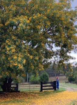 Additional image 74 of 103 Rural Road, Nanango QLD 4615