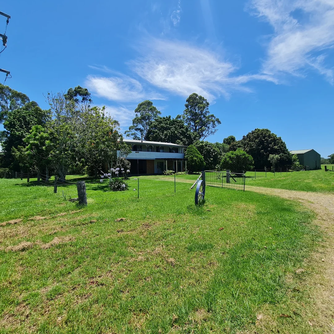 Image 10