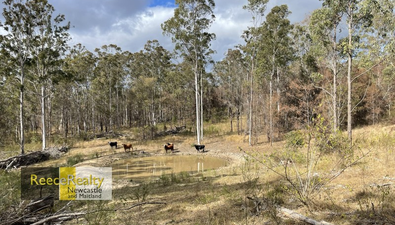 Picture of Lot 597 Willi Willi Road, TEMAGOG NSW 2440