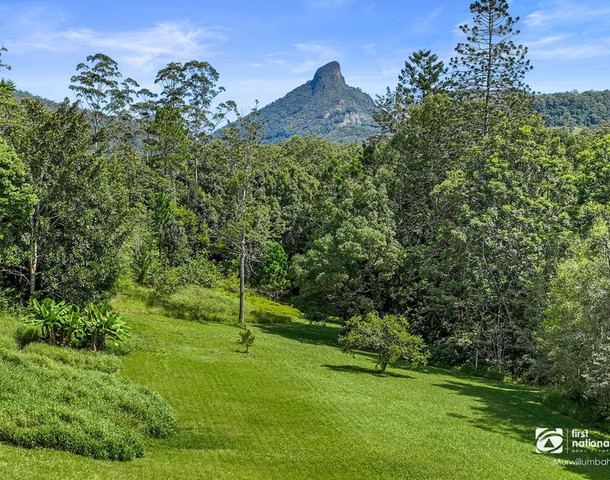 135 Mount Warning Road, Mount Warning NSW 2484