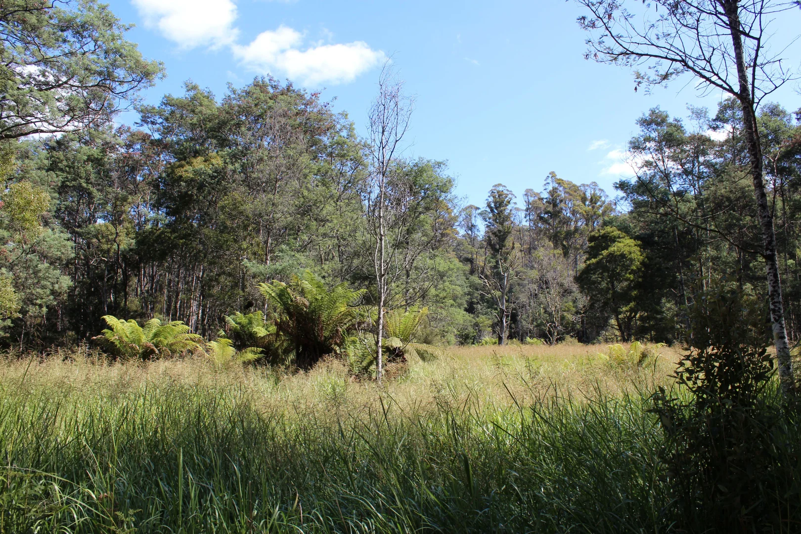 Additional image 9 of 188 Bassetts Road, Calder TAS 7325