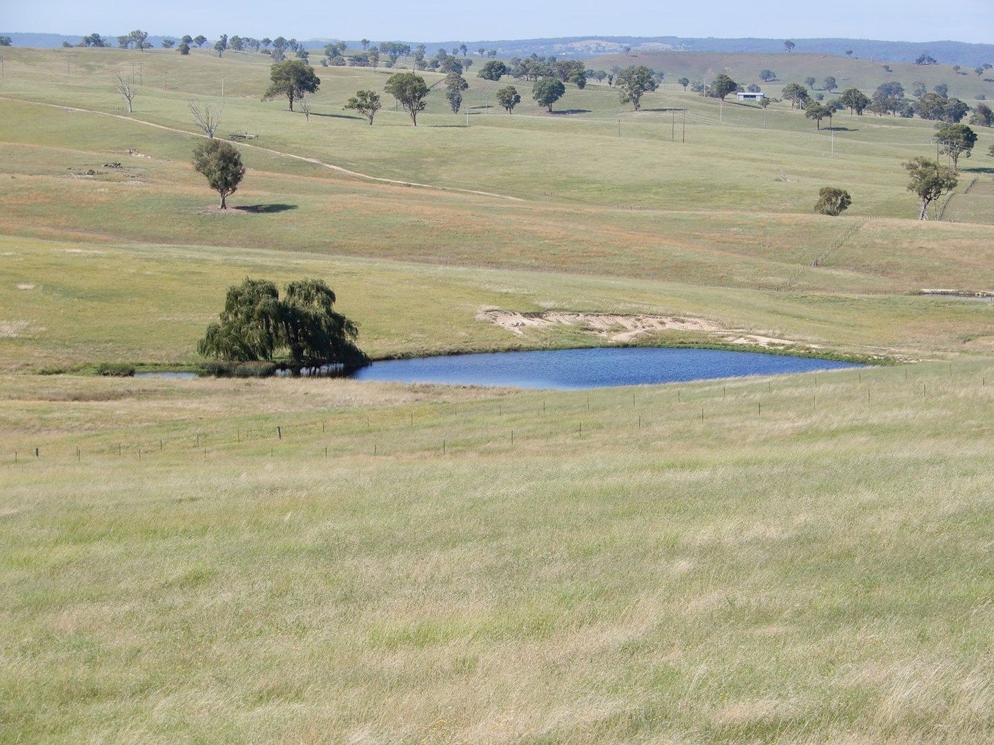 1946 Aarons Pass Road, Aarons Pass NSW 2850, Image 0