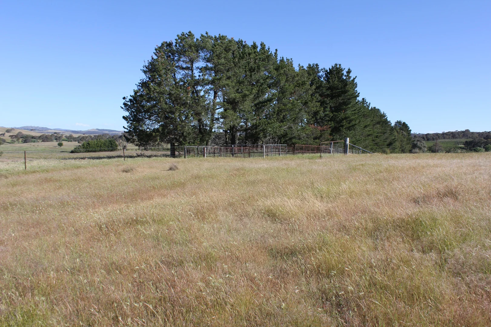 Image 11