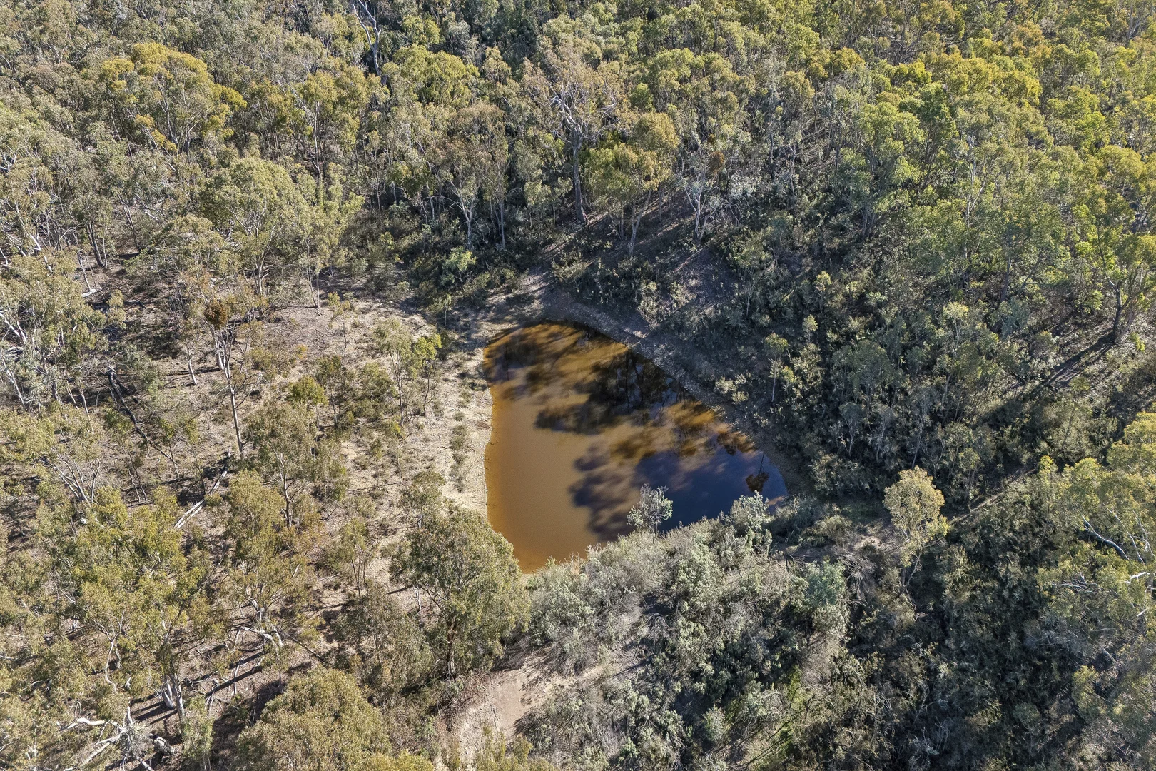 Image 37