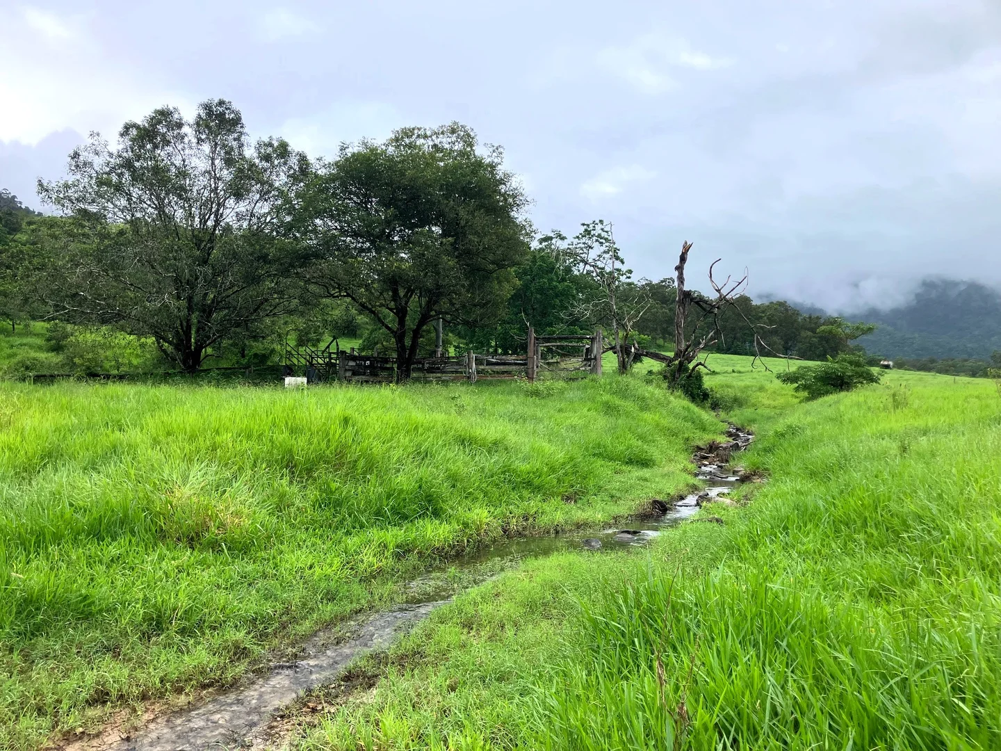 Additional image 22 of Gorge Road, Finch Hatton QLD 4756