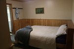 Image 12
