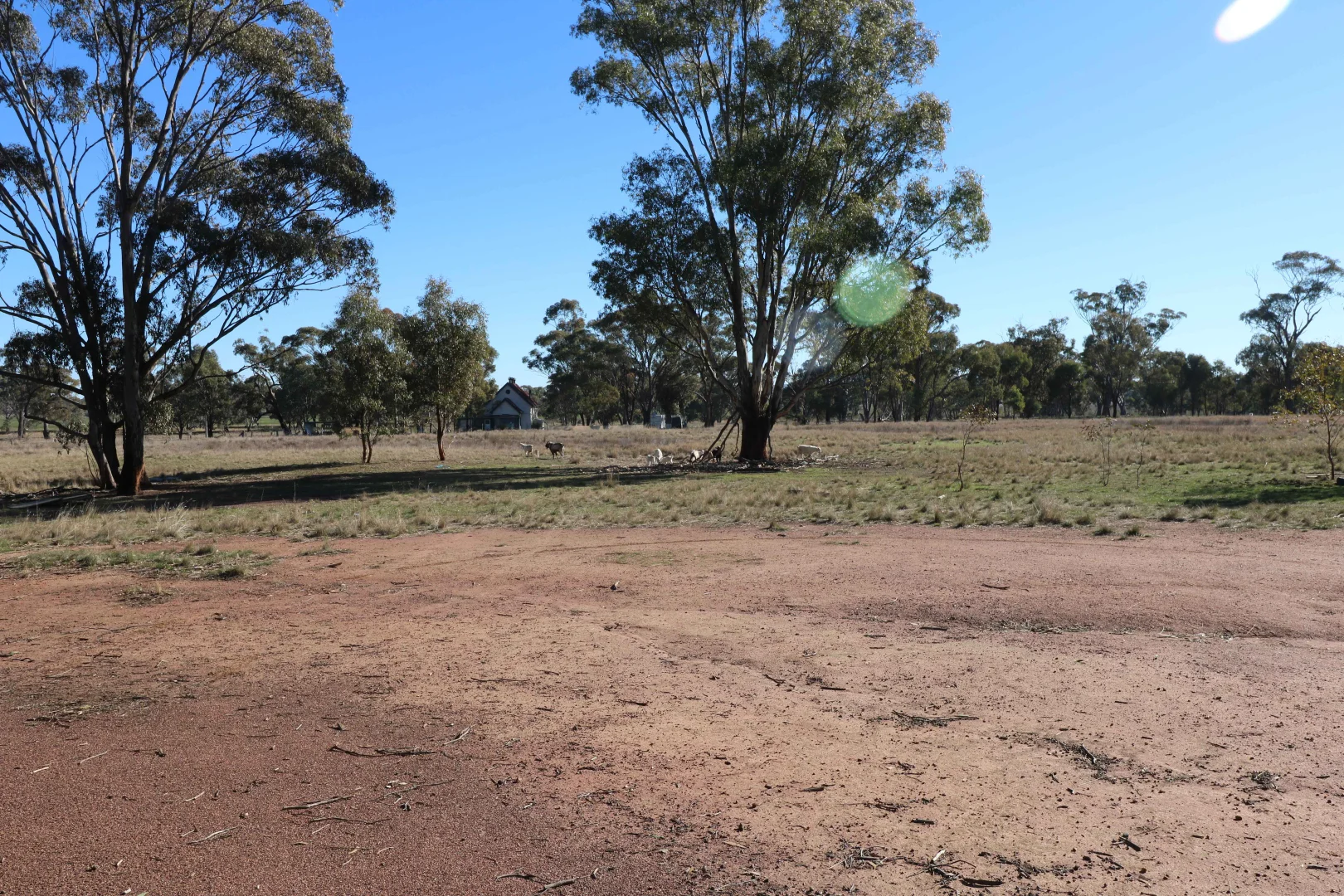 Image 10