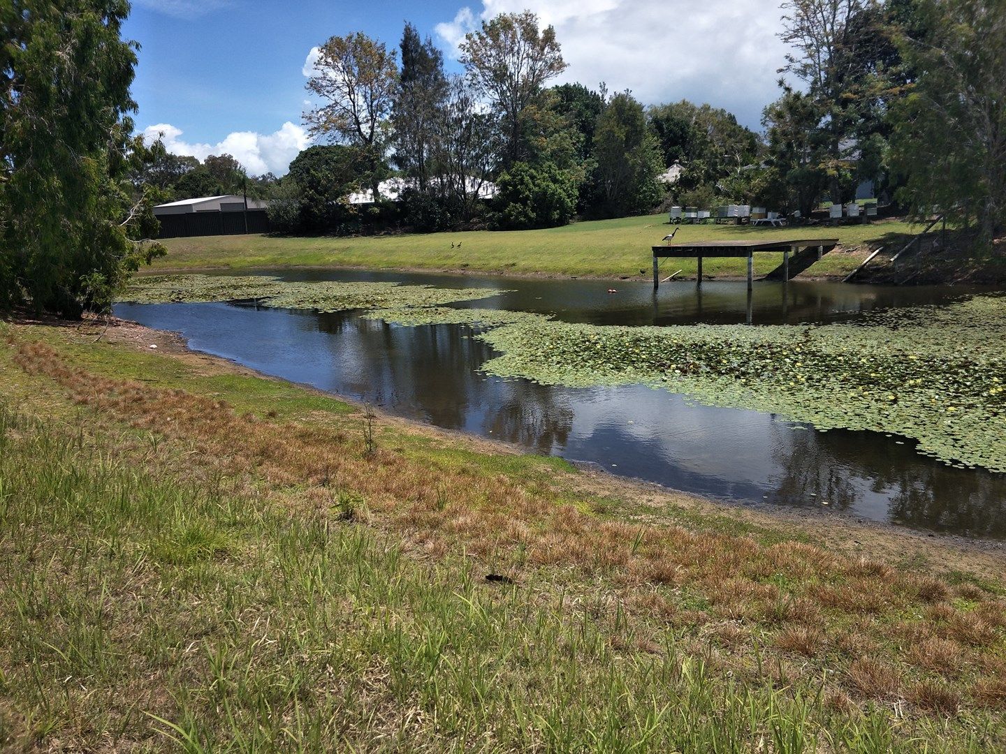 8 Belmoreana Ct, Dundowran Beach QLD 4655, Image 1