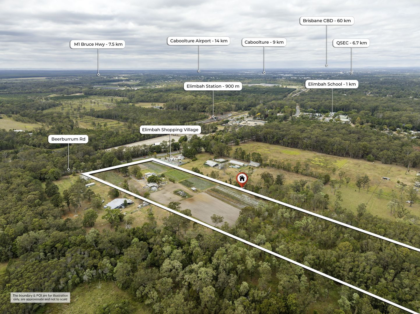 876 Beerburrum Road, Elimbah QLD 4516 Domain