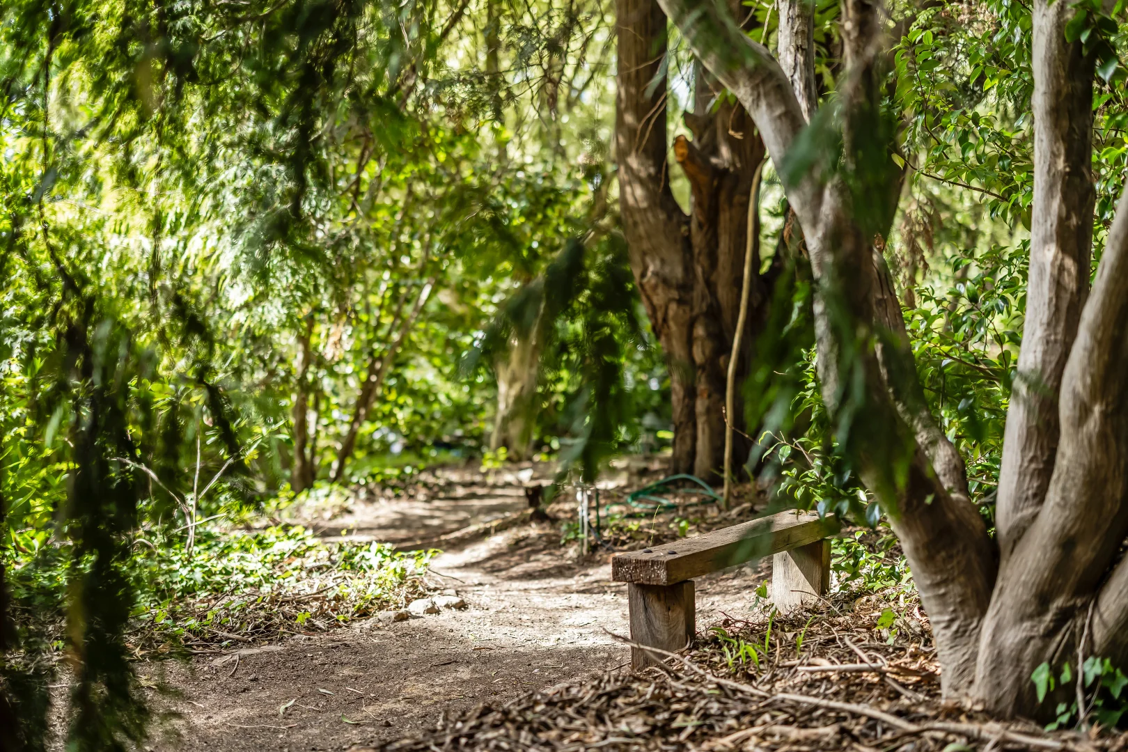 Additional image 26 of 17 Princes Avenue, Crafers West SA 5152