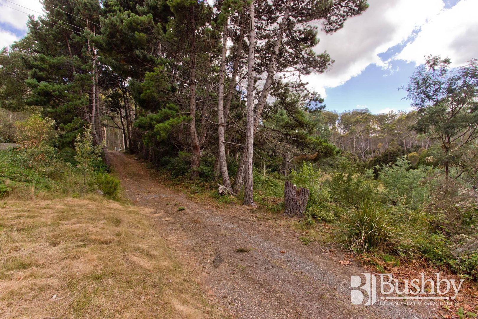 780 Lilydale Road, Underwood TAS 7268, Image 2